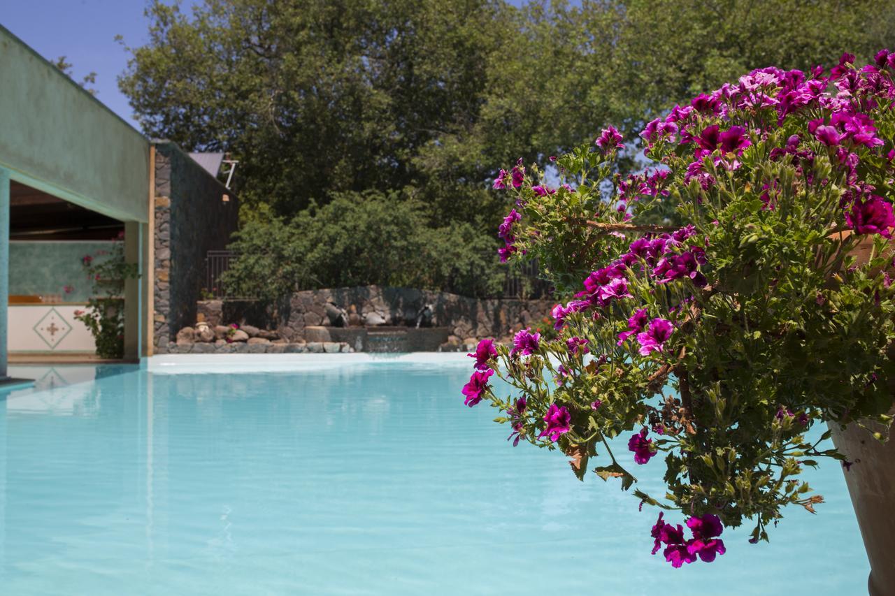 Country Hotel Mandra Edera 阿巴桑塔 外观 照片