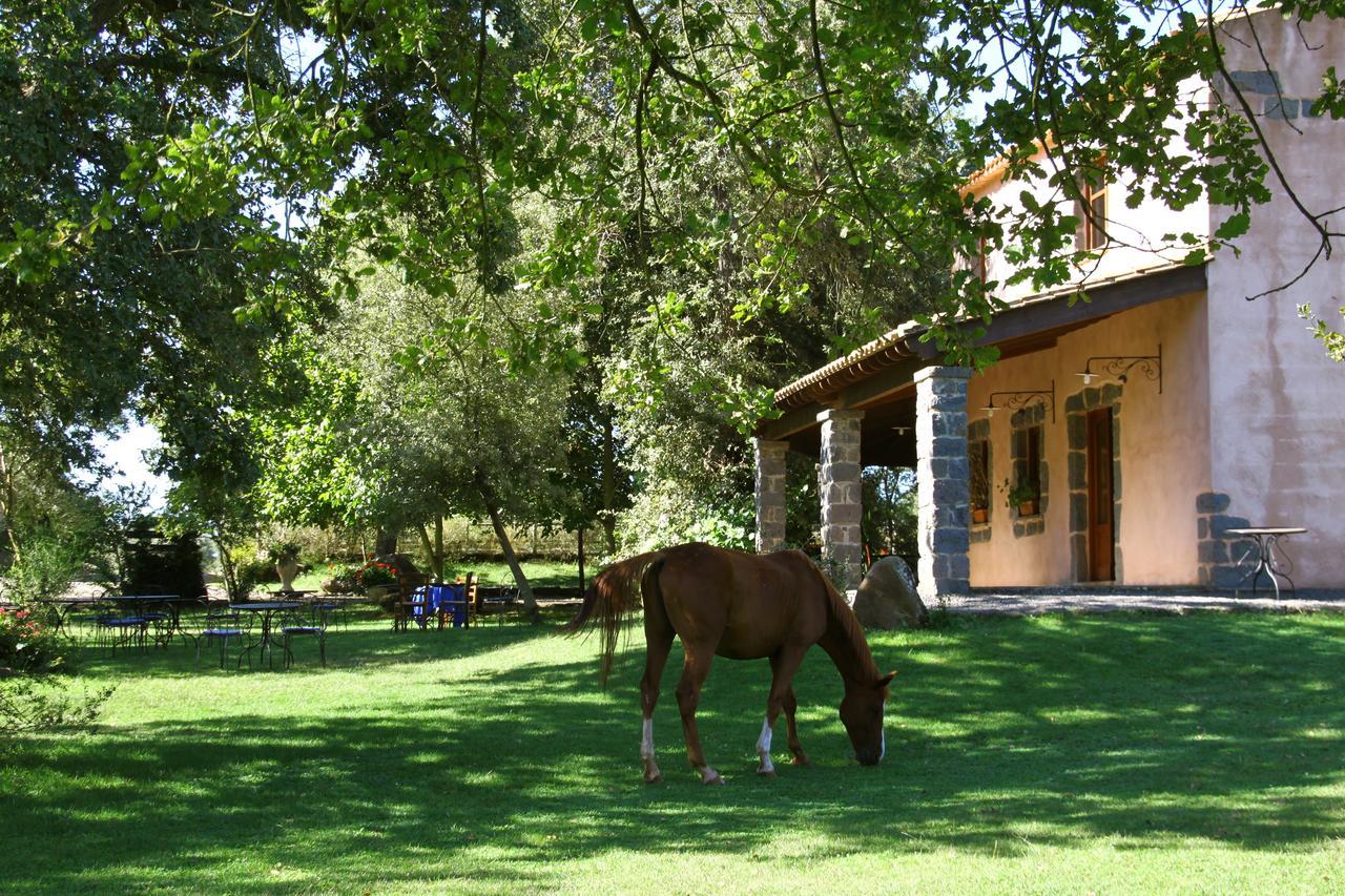 Country Hotel Mandra Edera 阿巴桑塔 外观 照片